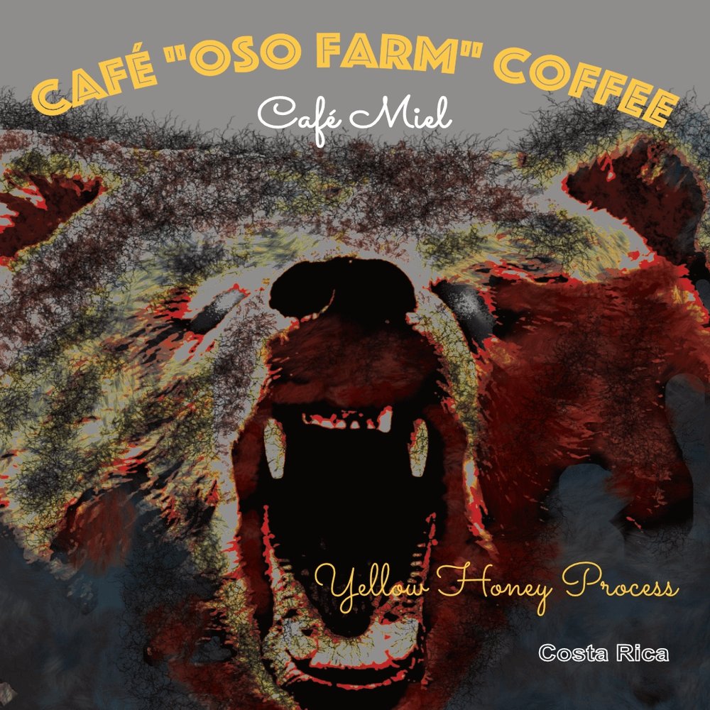 Sweet Like Honey! - Las Fincas Coffee