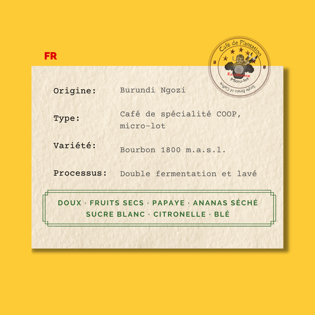 Burundi IWCA "Turihamwe Turashabora" micro-lot - Las Fincas Coffee